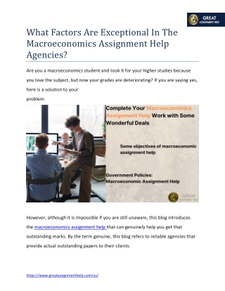 What Factors Are Exceptional In The Macroeconomics Assignment Help Agencies