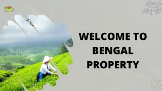 Best Tea Gardens For Sale In Jalpaiguri At Profitable Prices