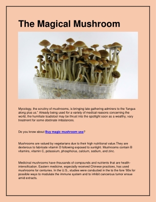 The Magical Mushroom