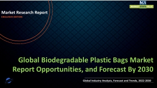 Biodegradable Plastic Bags Market Size to Reach US$ 4,122.4 million by 2030