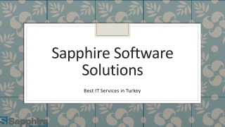 Best IT Services in Turkey