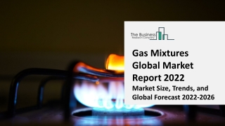 Gas Mixtures Market - Growth, Strategy Analysis, And Forecast 2031