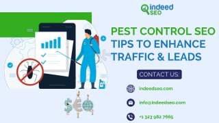 Pest Control SEO: Increase Traffic   Generate More Business With SEO | IndeedSEO