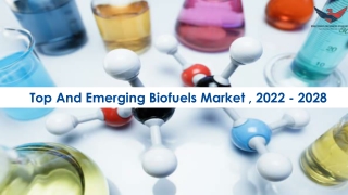 Top And Emerging Biofuels Market Opportunities, Business Forecast To 2028