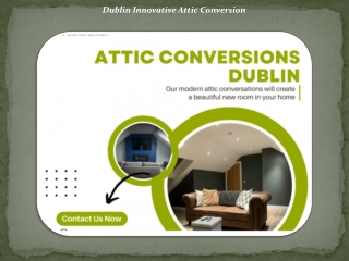 Dublin Innovative Attic Conversion