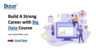 Build A Strong Career with Big Data Course- Enrol Now