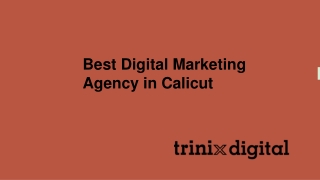 Best Digital Marketing Agency in Calicut
