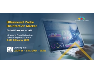 Ultrasound Probe Disinfection Market