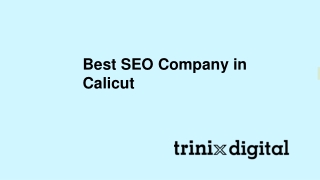 Best SEO Company in Calicut