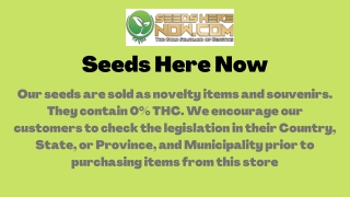 Seeds Here Now