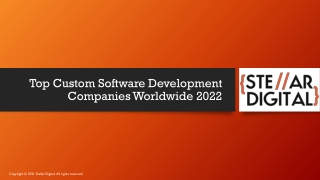 Top Custom Software Development Companies Worldwide 2022