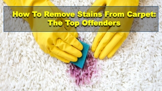 How To Remove Stains From Carpet The Top Offenders