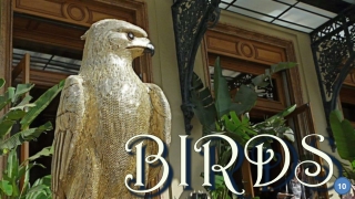 Birds10 Eco Art Parade