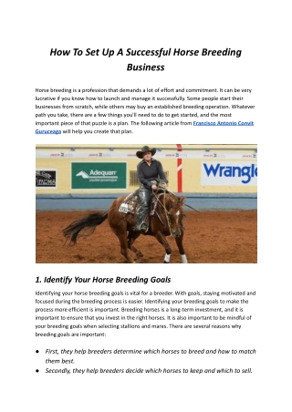 How To Establish A Successful Horse Breeding Business