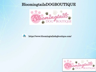 Cookie Shop for Dog, bloomingtailsdogboutique.com