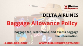 blog Delta buggage policy