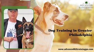 Training Your Dog Perfectly with Dog Training in Greater Philadelphia