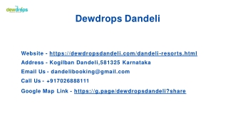 Which is the best resort to stay in Dandeli?