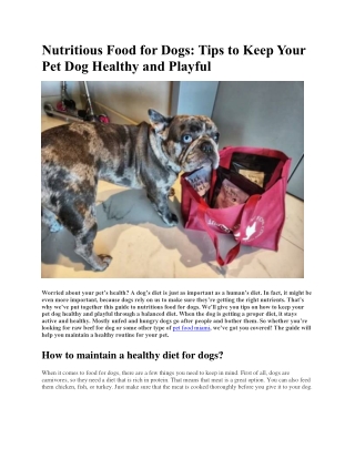 Nutritious Food for Dogs: Tips to Keep Your Pet Dog Healthy and Playful