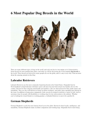 6 Most Popular Dog Breeds in the World