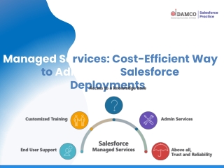 Managed Services Cost-Efficient Way to Administer Salesforce Deployments