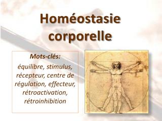 Homéostasie corporelle