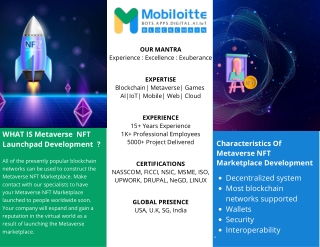 NFT Metaverse Launchpad Development