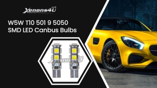 T10 Canbus Bulbs