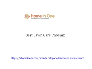 Best Lawn Care Phoenix