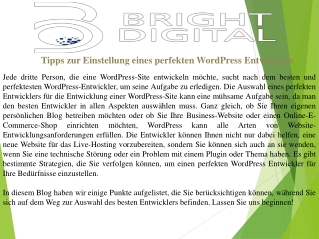 Tipps zur Einstellung eines perfekten WordPress Entwicklers