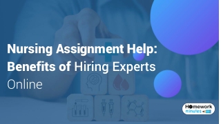 Nursing Assignment Help