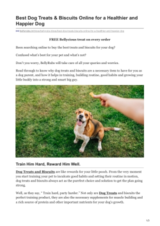 Best Dog Treats & Biscuits Online for a Healthier and Happier Dog