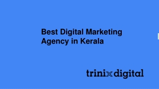 Best Digital Marketing Agency in Kerala