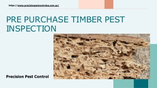 Pre Purchase Timber Pest Inspections | Precision Pest Control | Australia