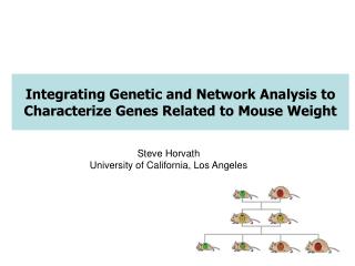 Integrating Genetic and Network Analysis to Characterize Genes Related to Mouse Weight