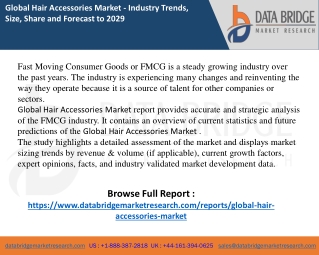 Hair Accessories Market report