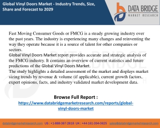 Vinyl Doors Market report