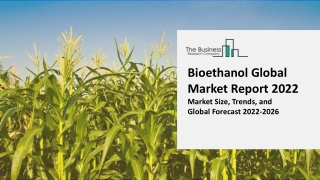 Bioethanol Market