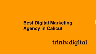 Best Digital Marketing Agency in Calicut