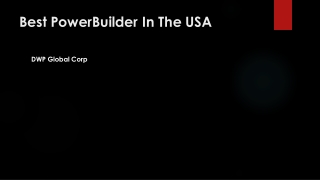 The Top PowerBuilder In USA | Best Copado Salesforce Partner