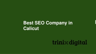 Best SEO Company in Calicut | Trinix Digital
