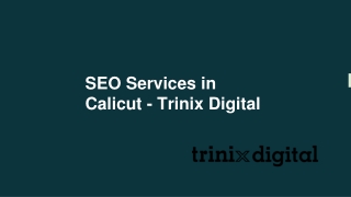 SEO Services in Calicut - Trinix Digital