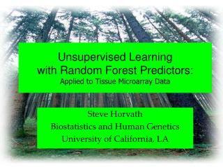 Unsupervised Learning with Random Forest Predictors: Applied to Tissue Microarray Data