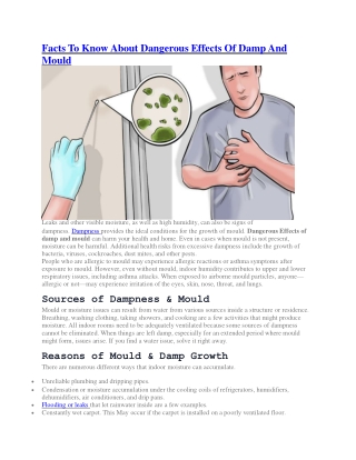 Facts To Know About Dangerous Effects Of Damp And Mould
