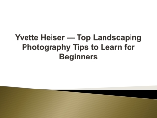 Yvette Heiser — Top Landscaping Photography Tips to Learn for Beginners