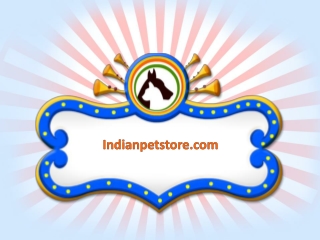 Indianpetstore.com is now available to feed your pets
