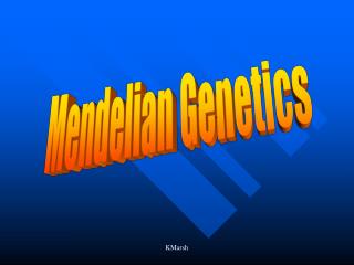 Mendelian Genetics