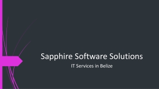 IT Services in Belize