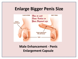 Have a large penis for a man's sexuality with Cock XXL Capsule