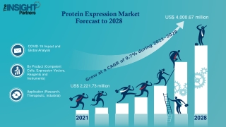 Protein Expression Market